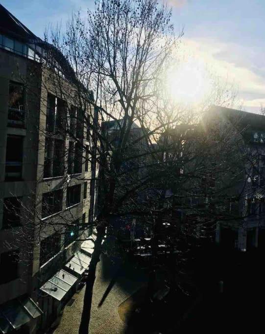 Charmantes 1Zi Apartment Im Herzen Von Braunschweig Mit Balkon Buitenkant foto